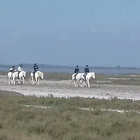 Solimany * سان جيل