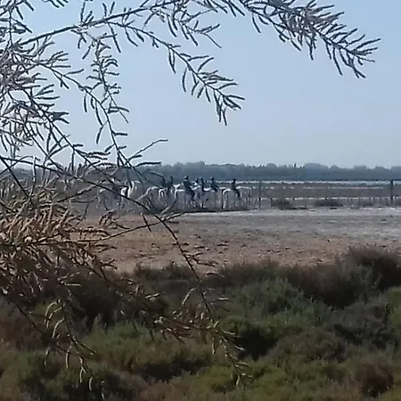 Solimany * سان جيل