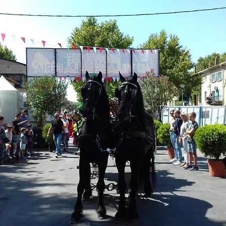 Solimany Saint-Gilles (Gard)